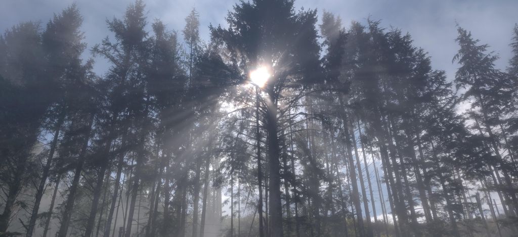 A photograph I took while out driving a tow truck on a slightly hazy day.