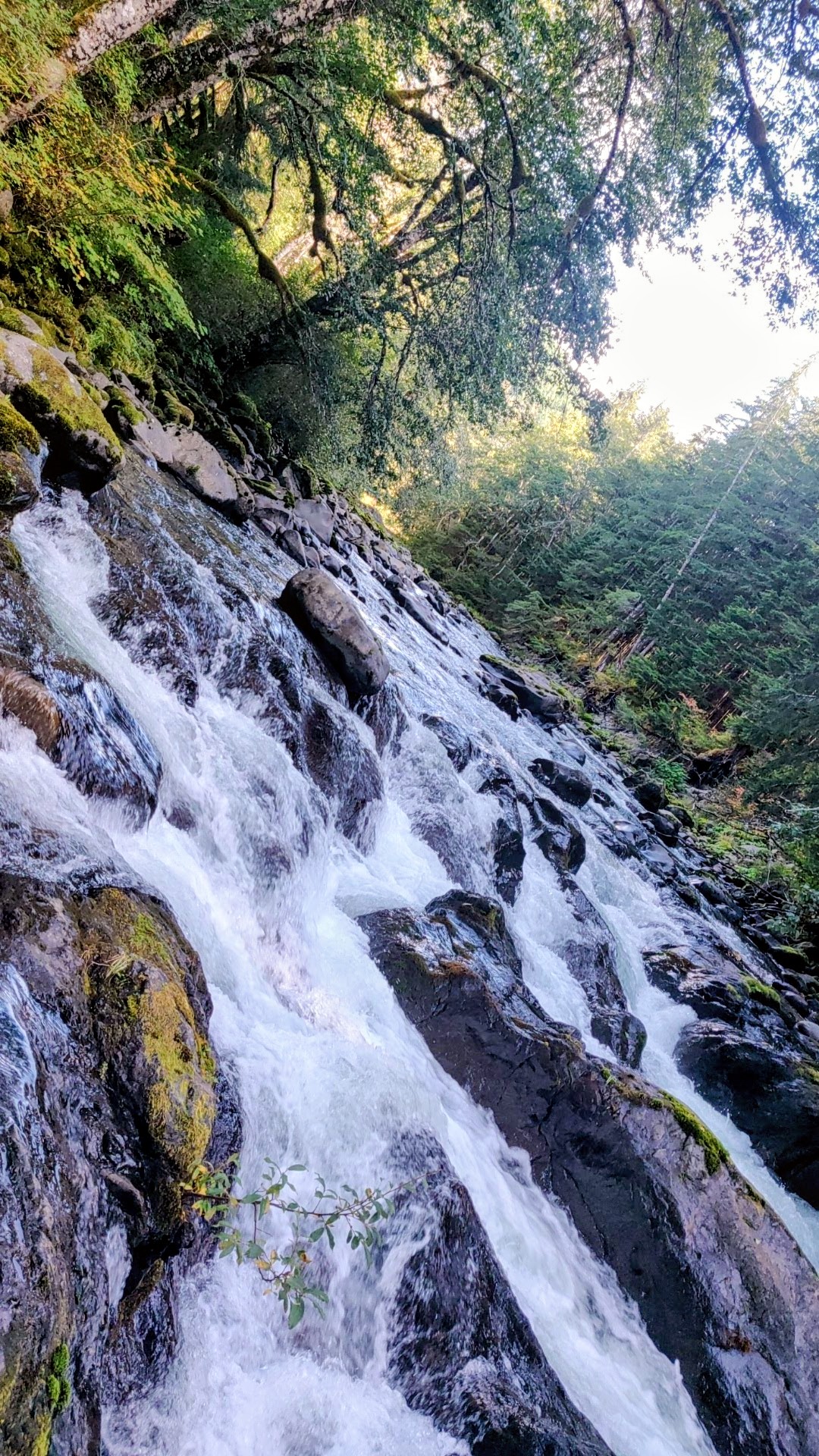 A hot springs river running down a mountain
