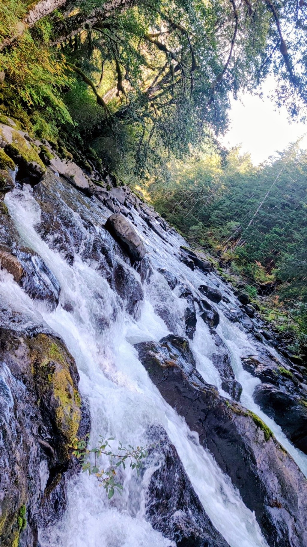 A hot springs river running down a mountain