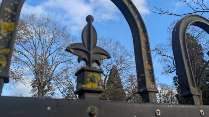 La Fleur On A Fence in Wright Park, Tacoma Photo By Brandon K Montoya