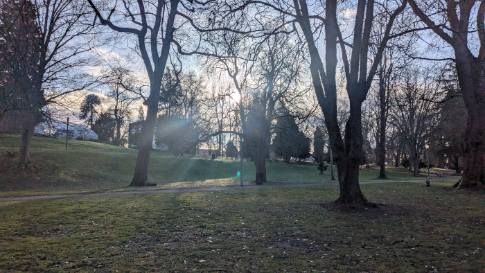 Morning light in Wright Park, Tacoma Photo By Brandon K Montoya