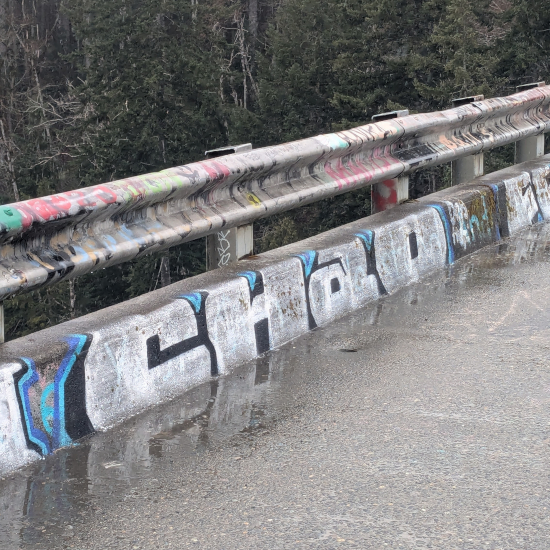 Short Rail, short enough to easily fall over - Photo by Brandon K Montoya
