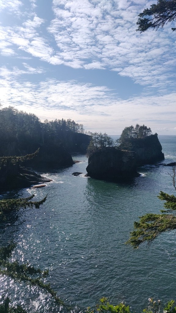 Cape Flattery Ocean View 3 - Photo By Brandon K Montoya