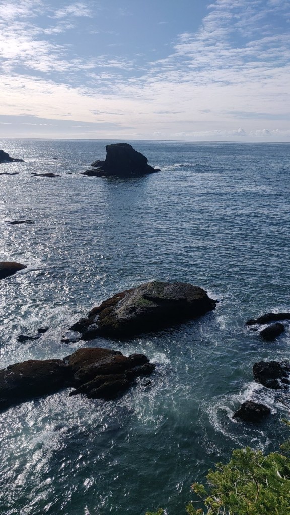 Cape Flattery Ocean View 1 - Photo By Brandon K Montoya