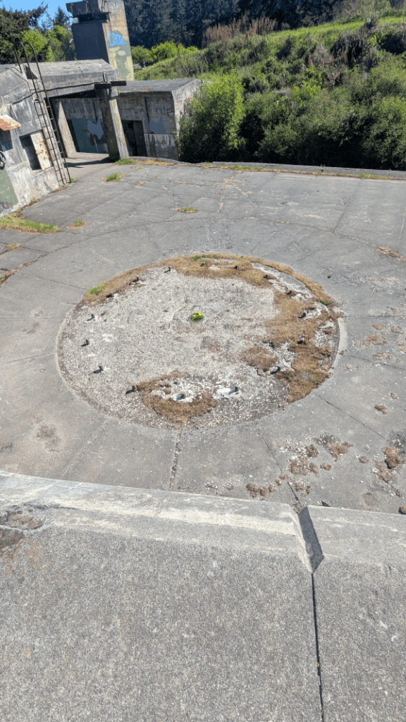 Dandelion Vs Naval Cannon - Photo By Brandon K Montoya - A dandelion grows from the center of where a large, multi-ton naval cannon used to sit decades ago in Ford Worden State Park.