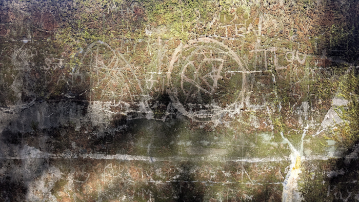 Ecological Graffiti 2 - Photo By Brandon K Montoya