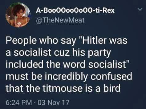 People who say "Hitler was a socialist cuz his party included the word socialist" must be incredibly confused that the titmouse is a bird"