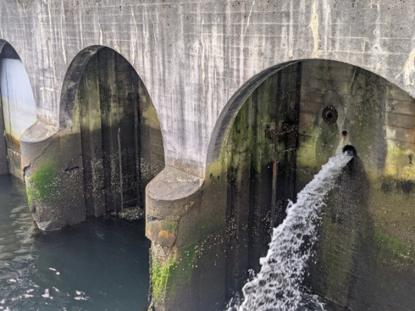 I Give A&nbsp;Dam