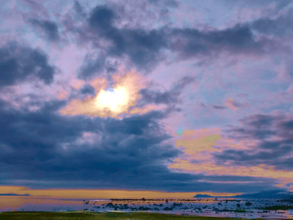 Moody Blues – A Nature&nbsp;Photo