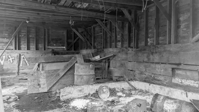 Mold city - Photo By Brandon K Montoya