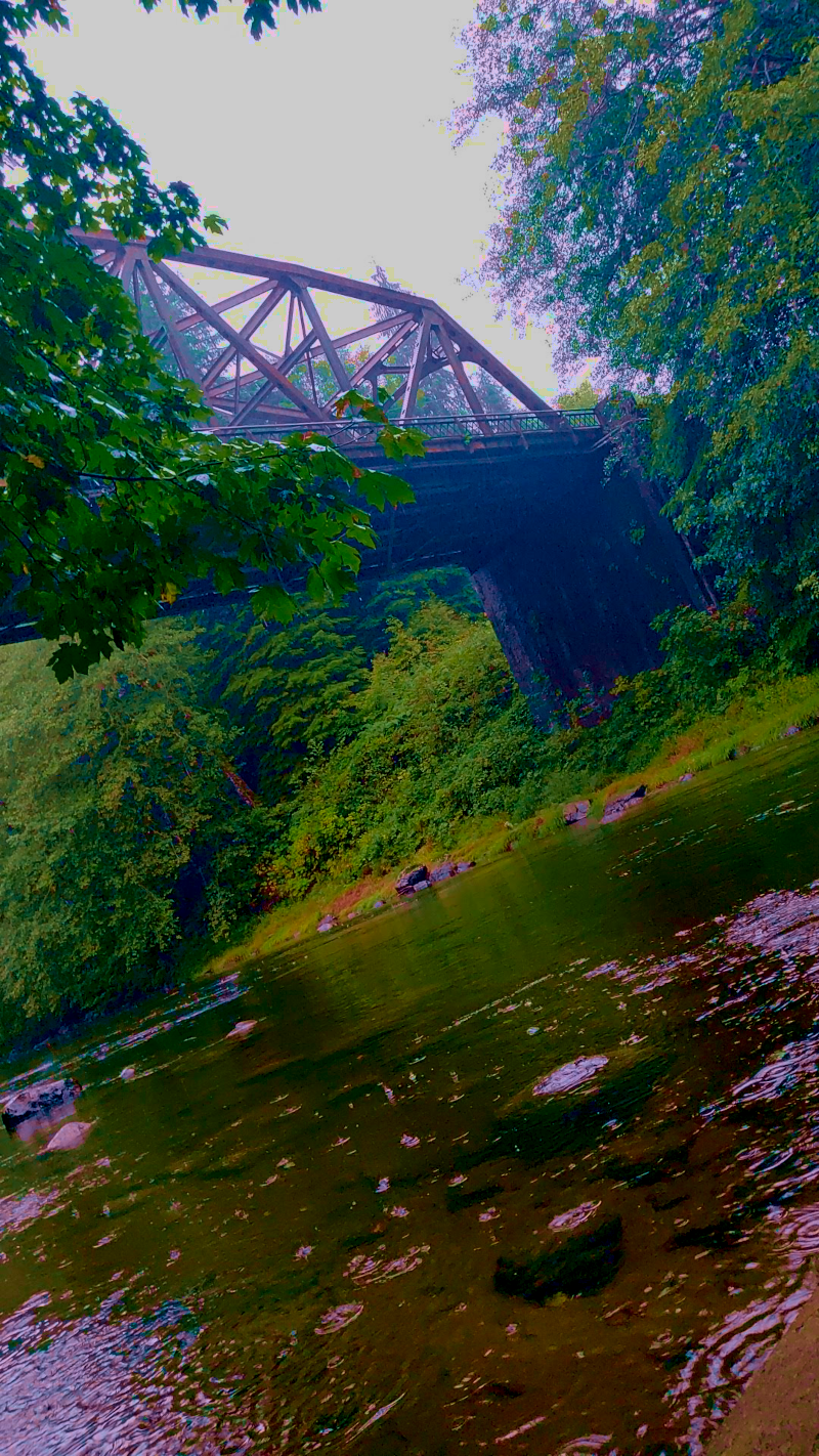 Calawah River Park In Forks Washington - Photo By Brandon K Montoya