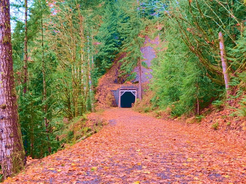 Spruce Railroad Trail&nbsp;Tunnel