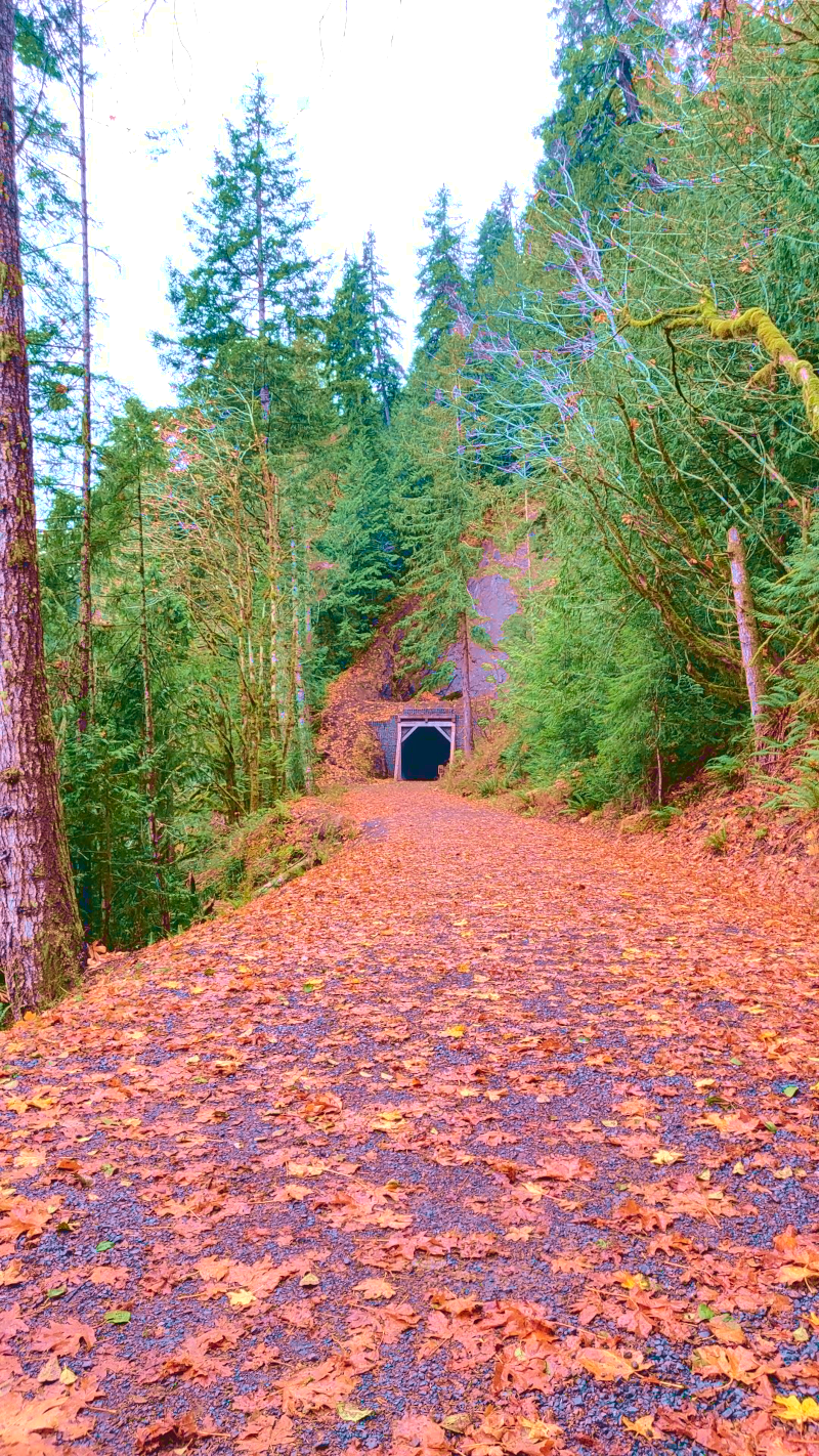 Spruce Railroad Trail Tunnel - Photo By Brandon K Montoya